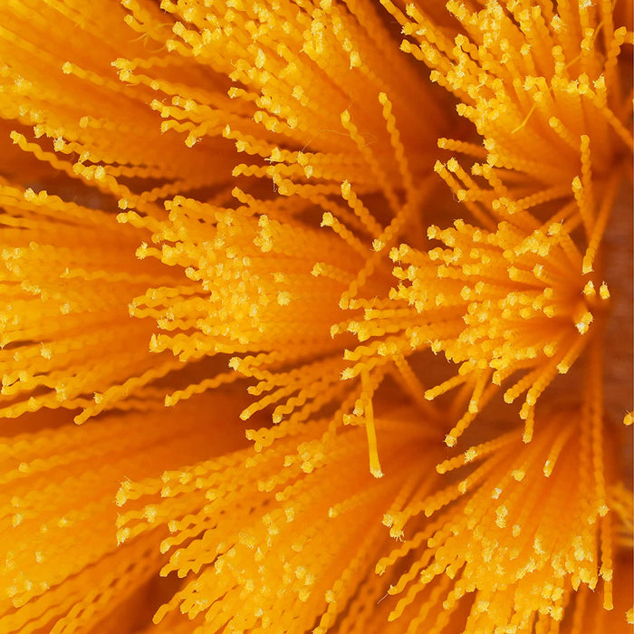 Seachoice 90581 Deck Brush